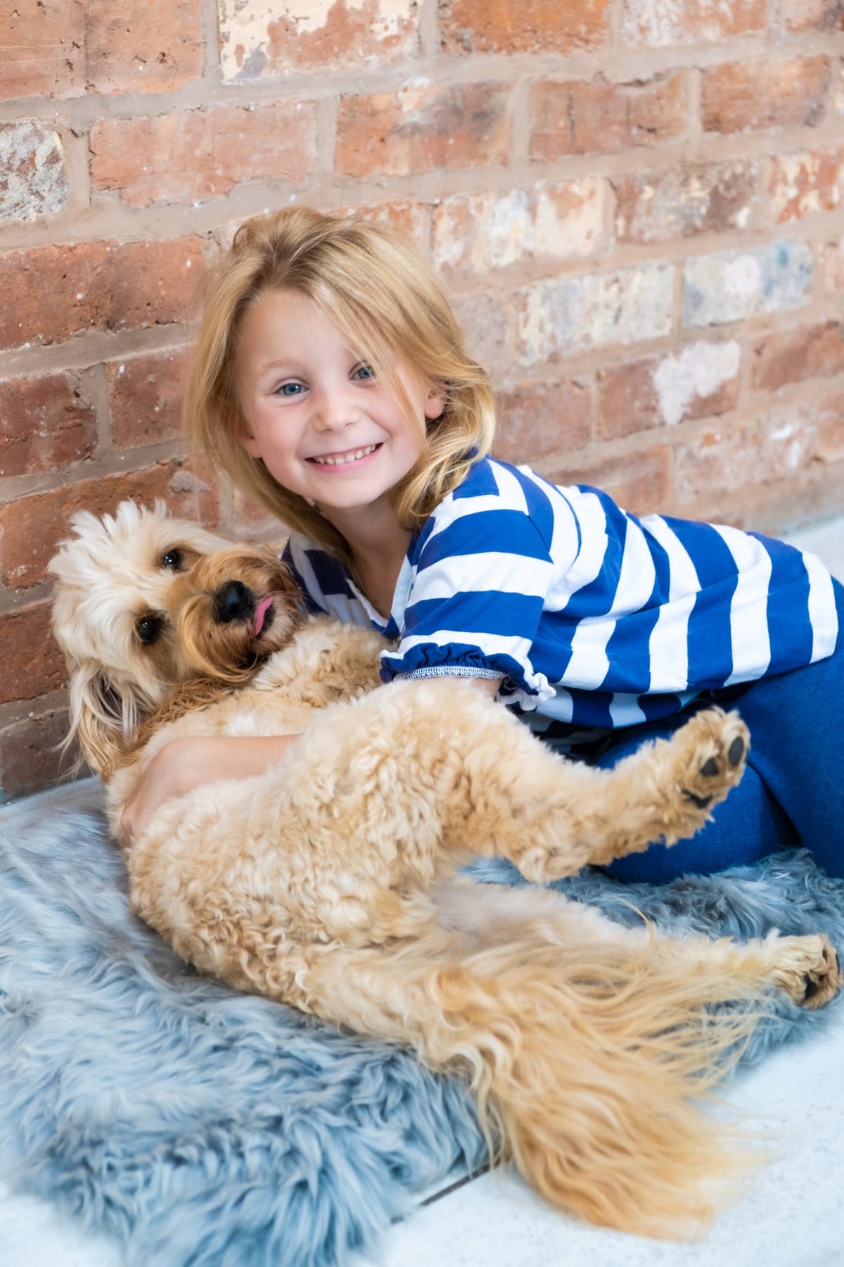 International Dog Day – 26th August 2023 - Naturally Sheepskins