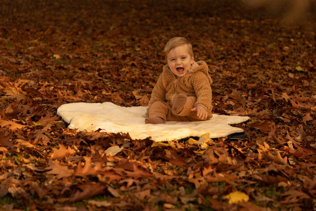 The Autumn Equinox - Naturally Sheepskins