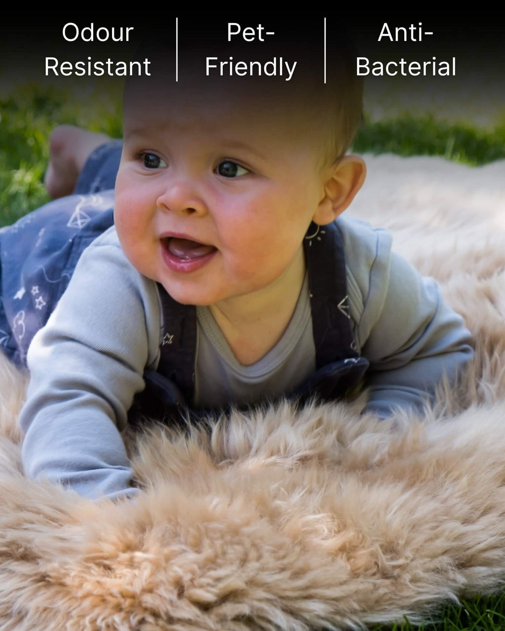 baby laying on Mocha Single Sheepskin rug 