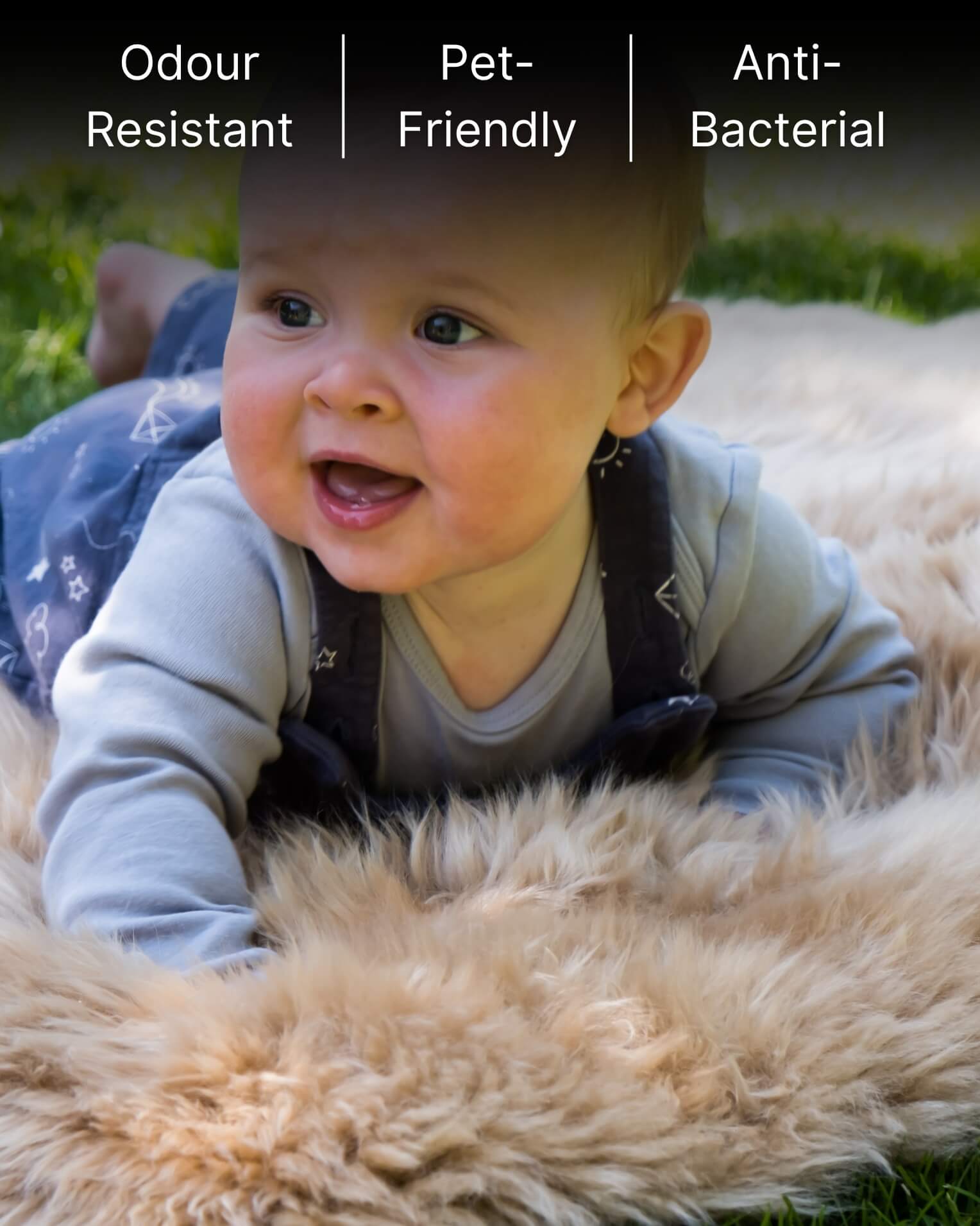 baby laying on Mocha Single Sheepskin rug 
