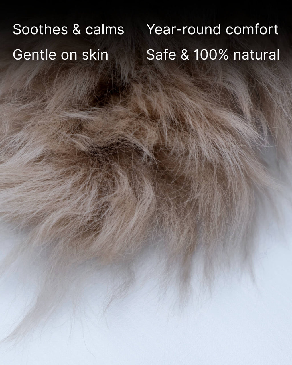 Mocha Single Sheepskin rug fur close up