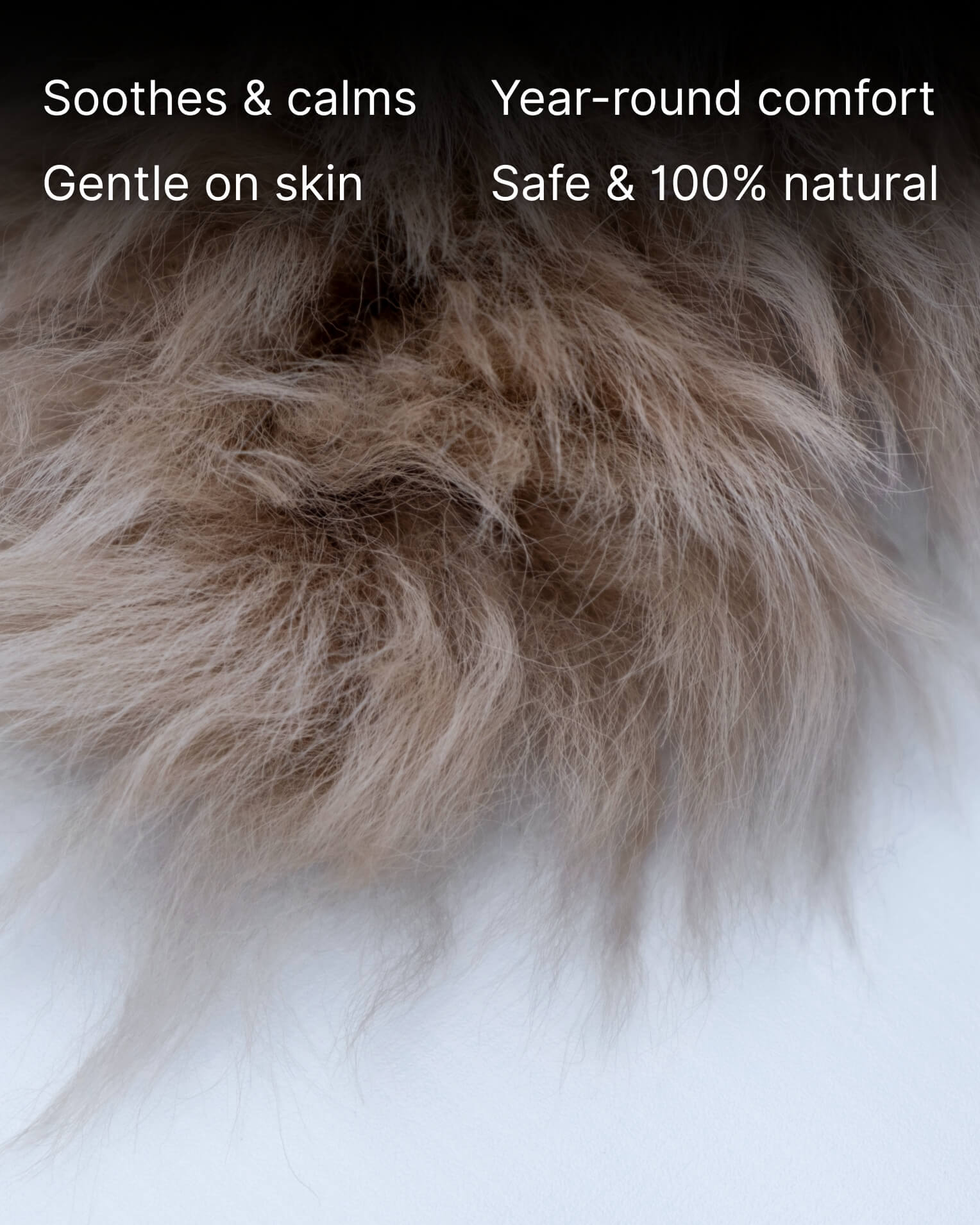 Mocha Single Sheepskin rug fur close up