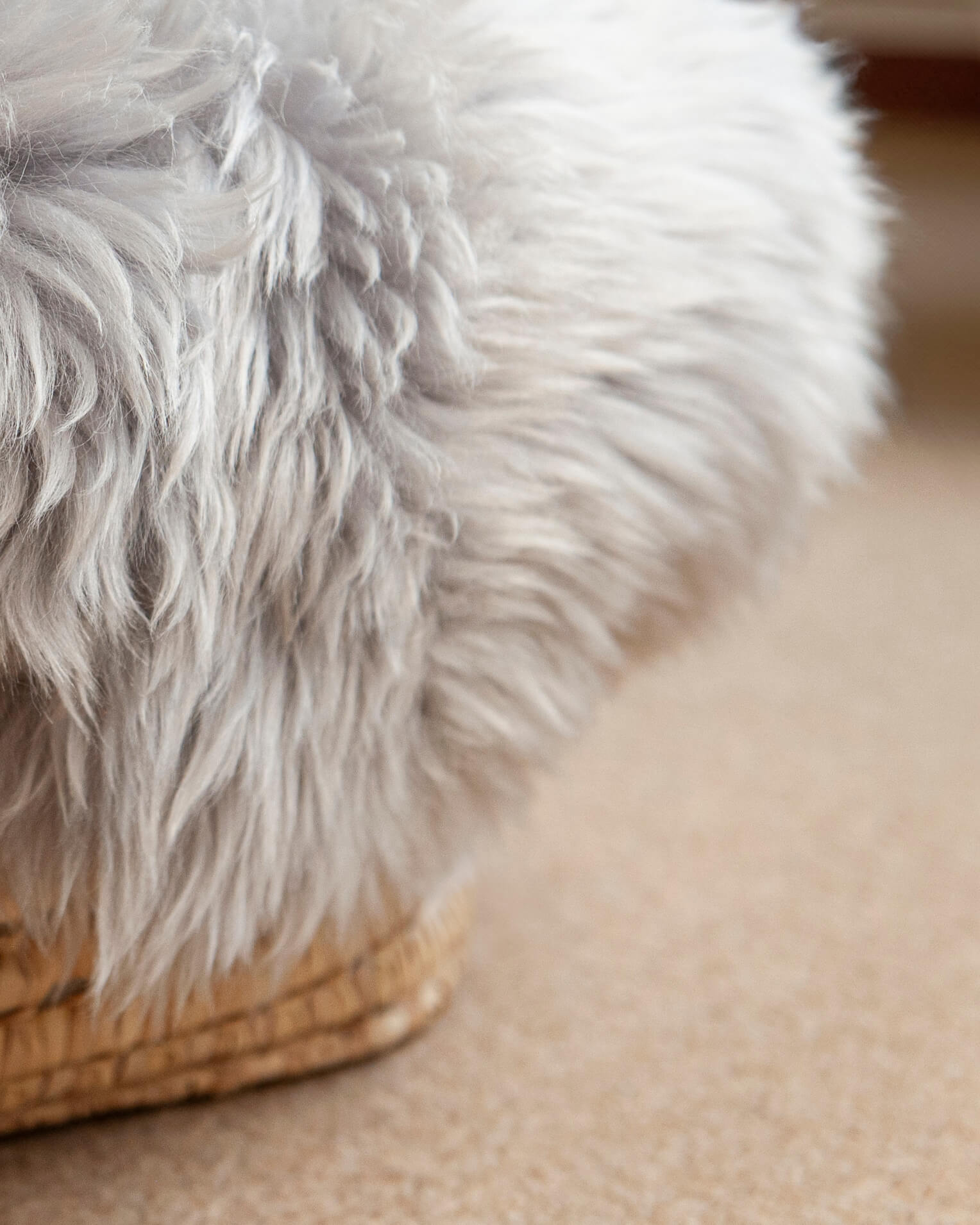 Close-up of a fluffy grey sheepskin liner