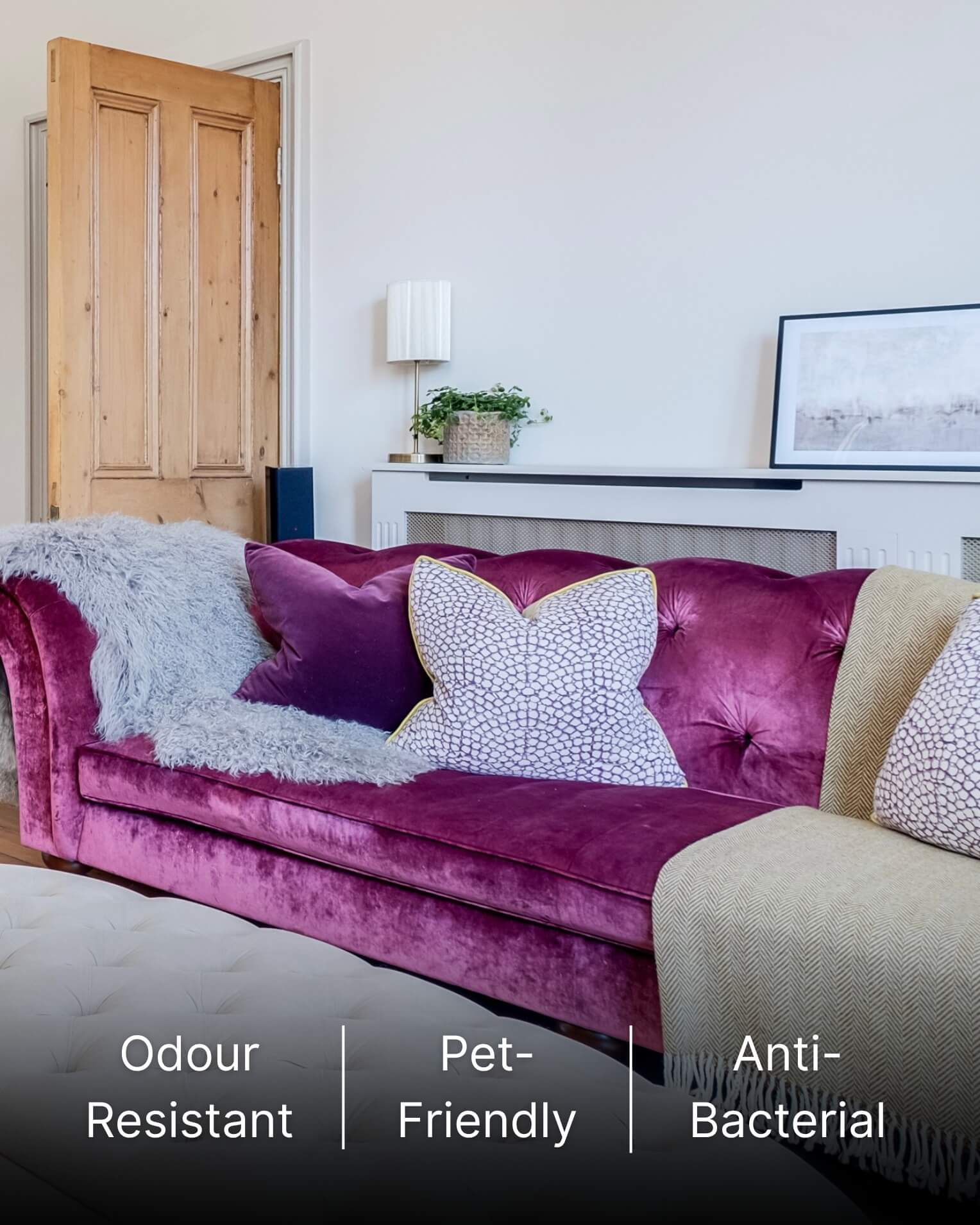 Grey Mongolian Sheepskin Rug on purple sofa