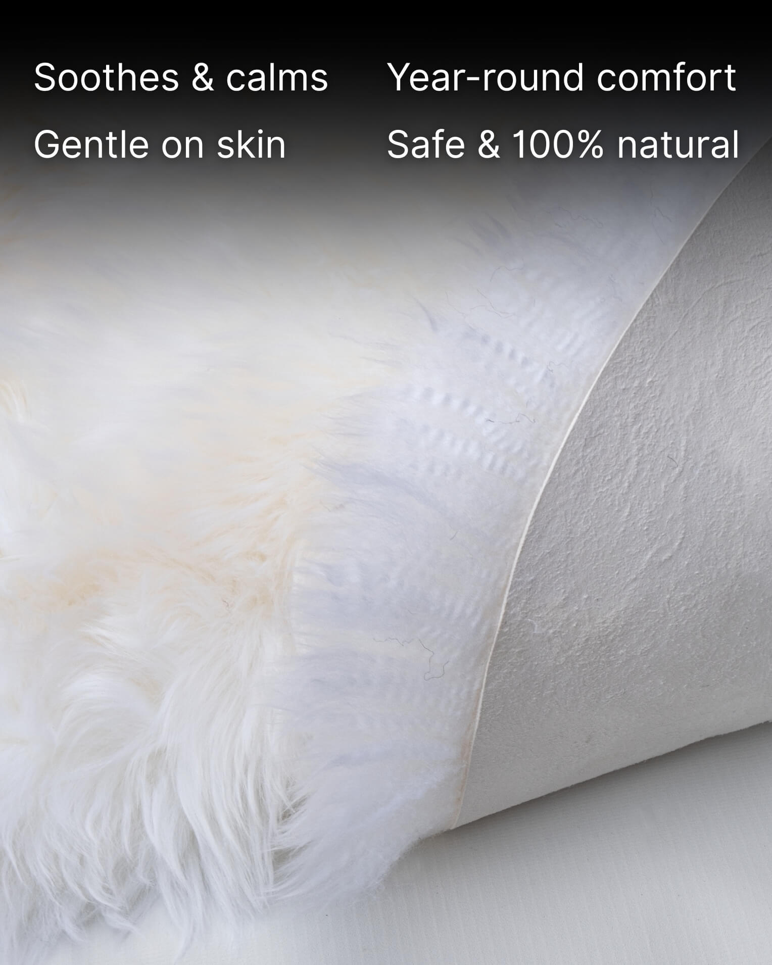 Ivory Single Sheepskin rug fur close up
