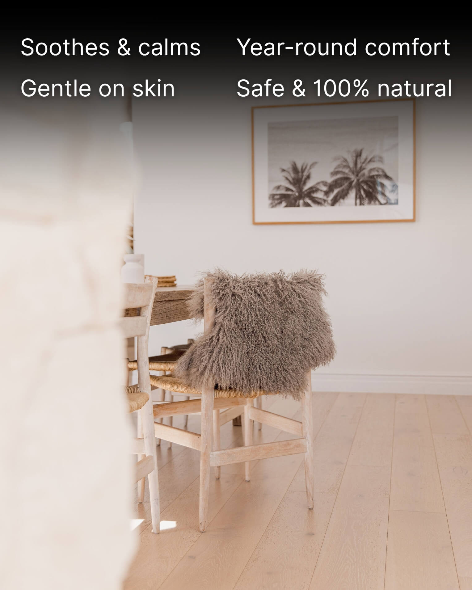 Mocha Mongolian Sheepskin Rug drapped on back off chair