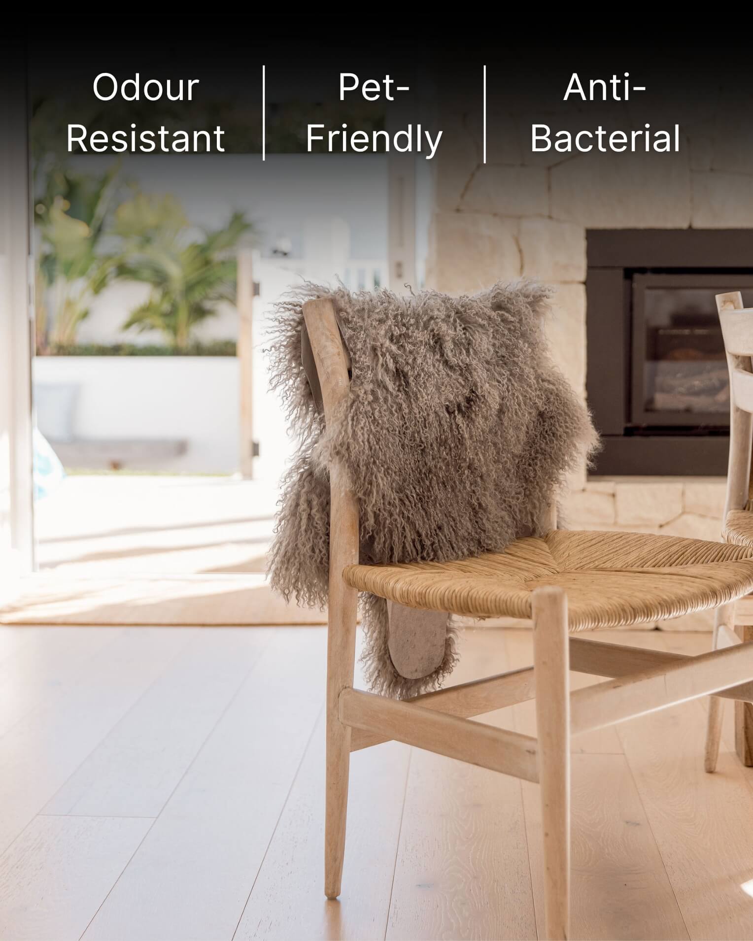 Mocha Mongolian Sheepskin Rug draped on back off chair