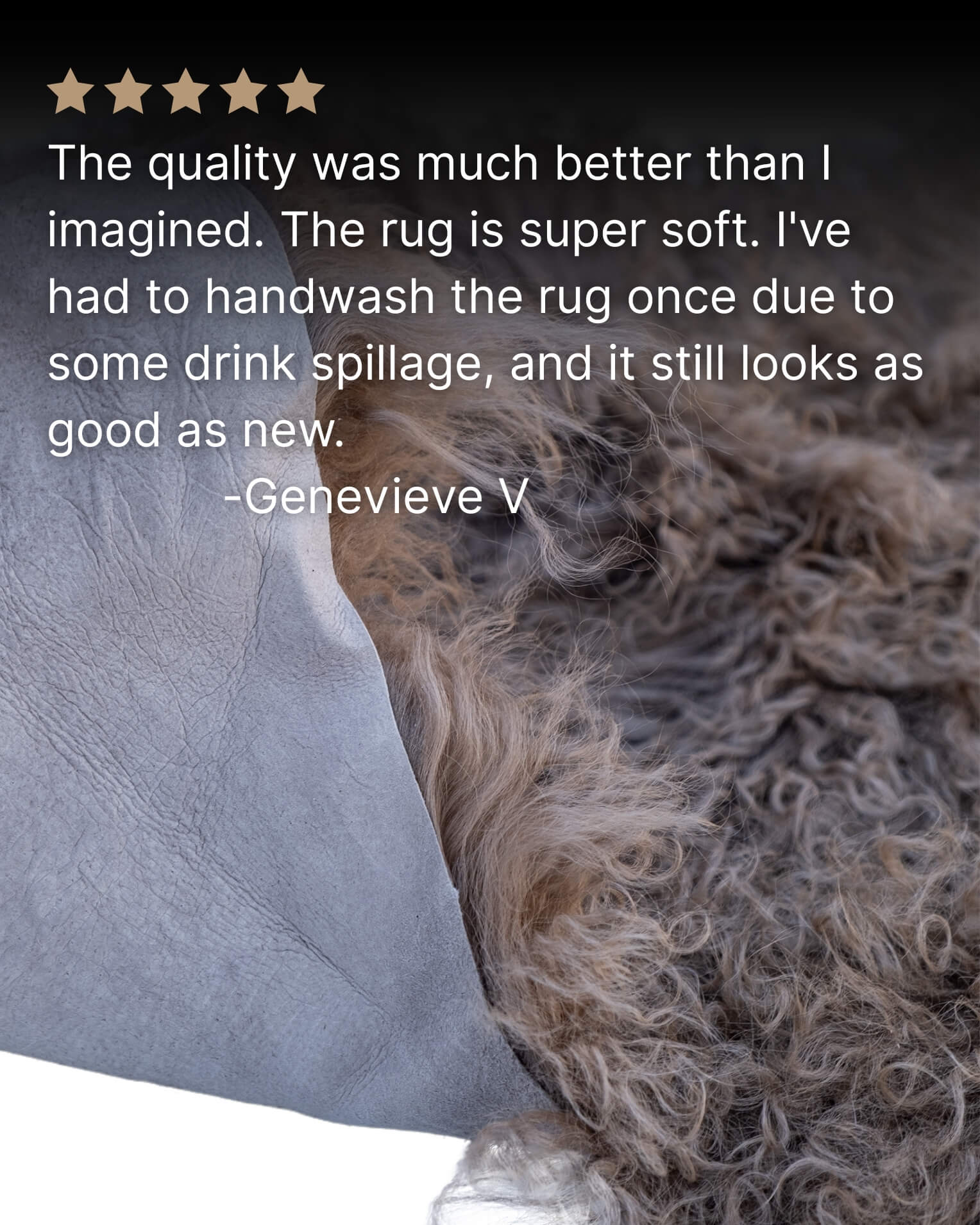 Mocha Mongolian Sheepskin Rug close up