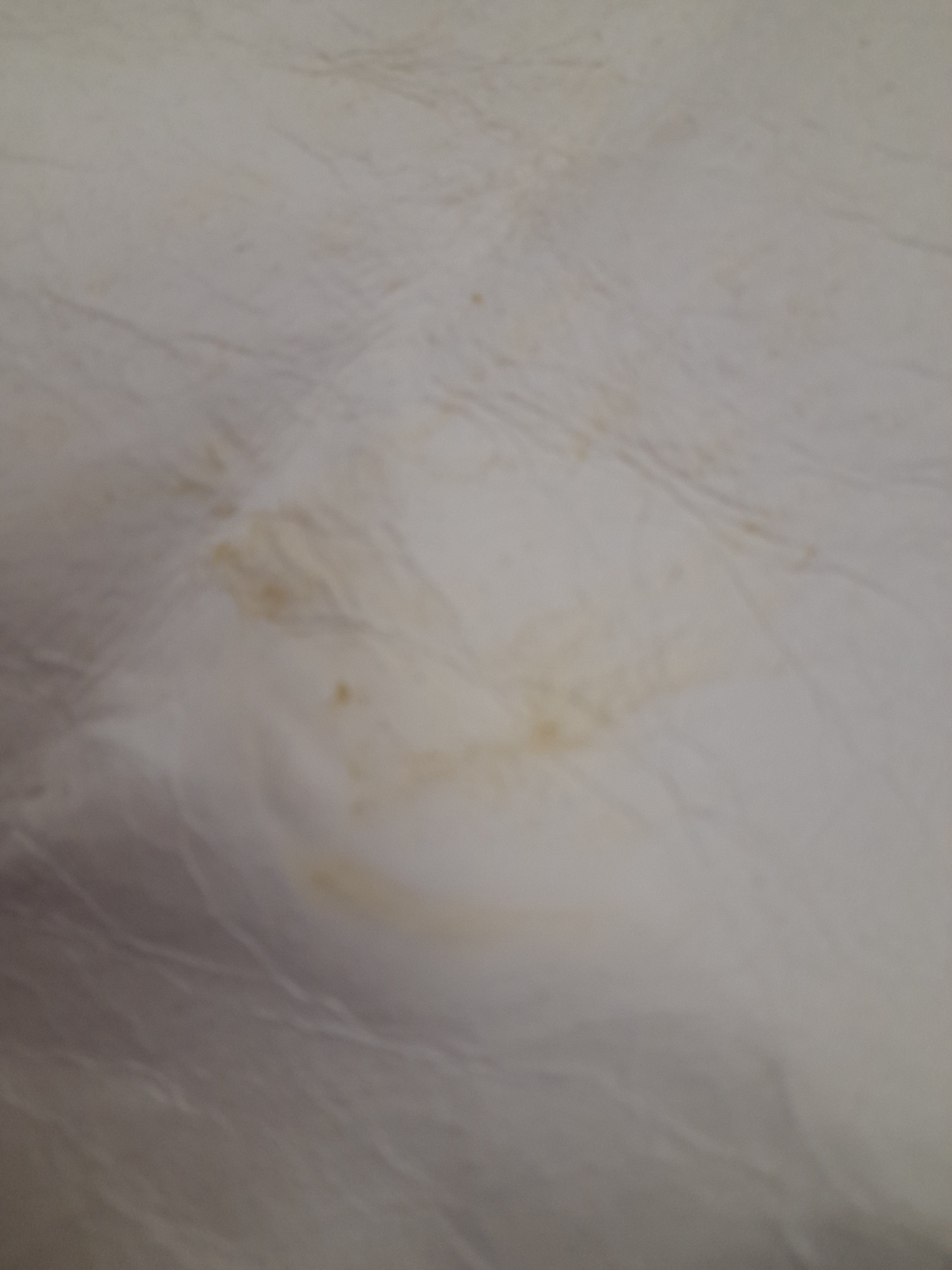 Outlet 100% Natural Sheepskin Mongolian Single Rug - 90cm x 55cm Ivory