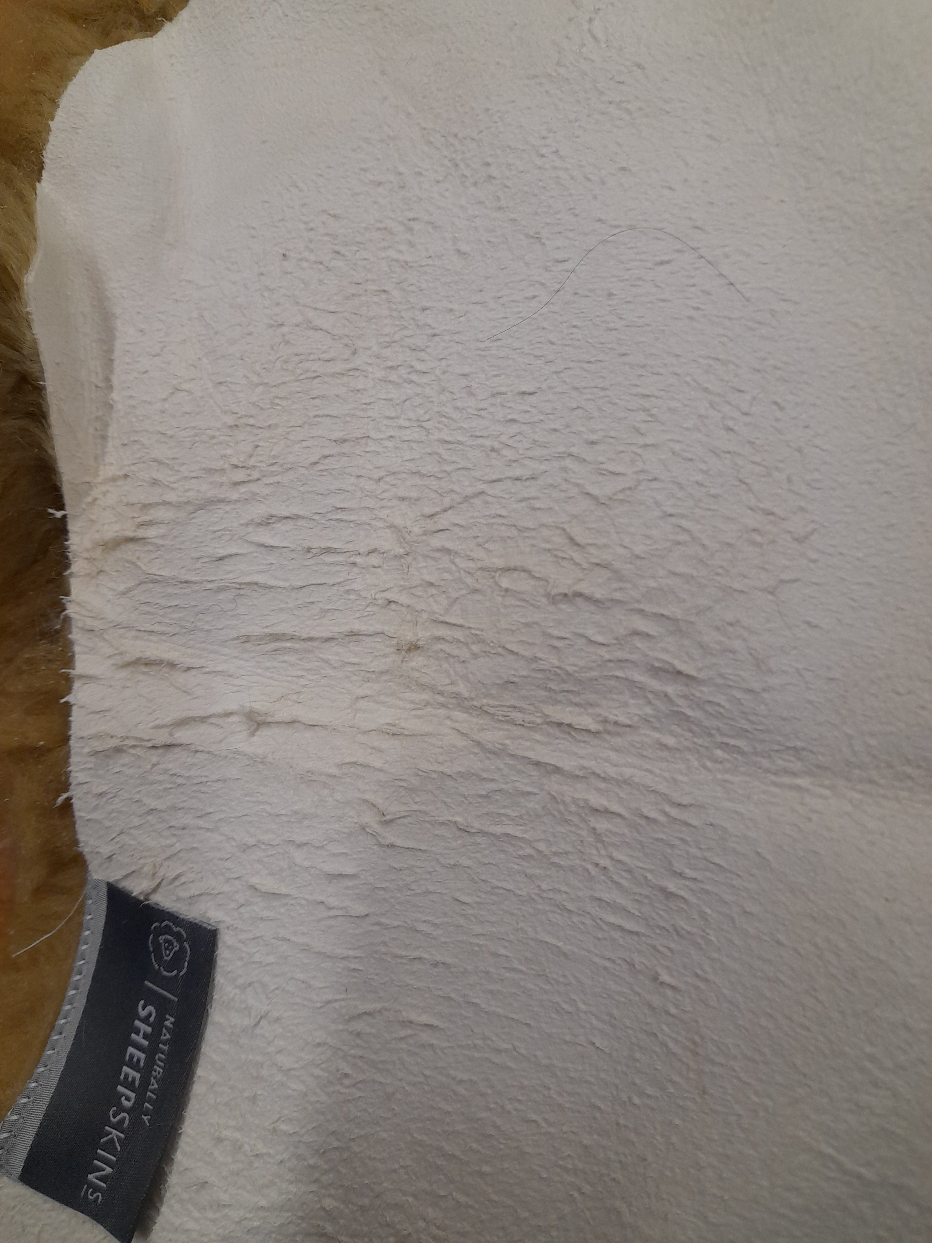 Outlet Premium New Zealand Single Sheepskin Long Wool Rug - 90cm x 55cm Bronze