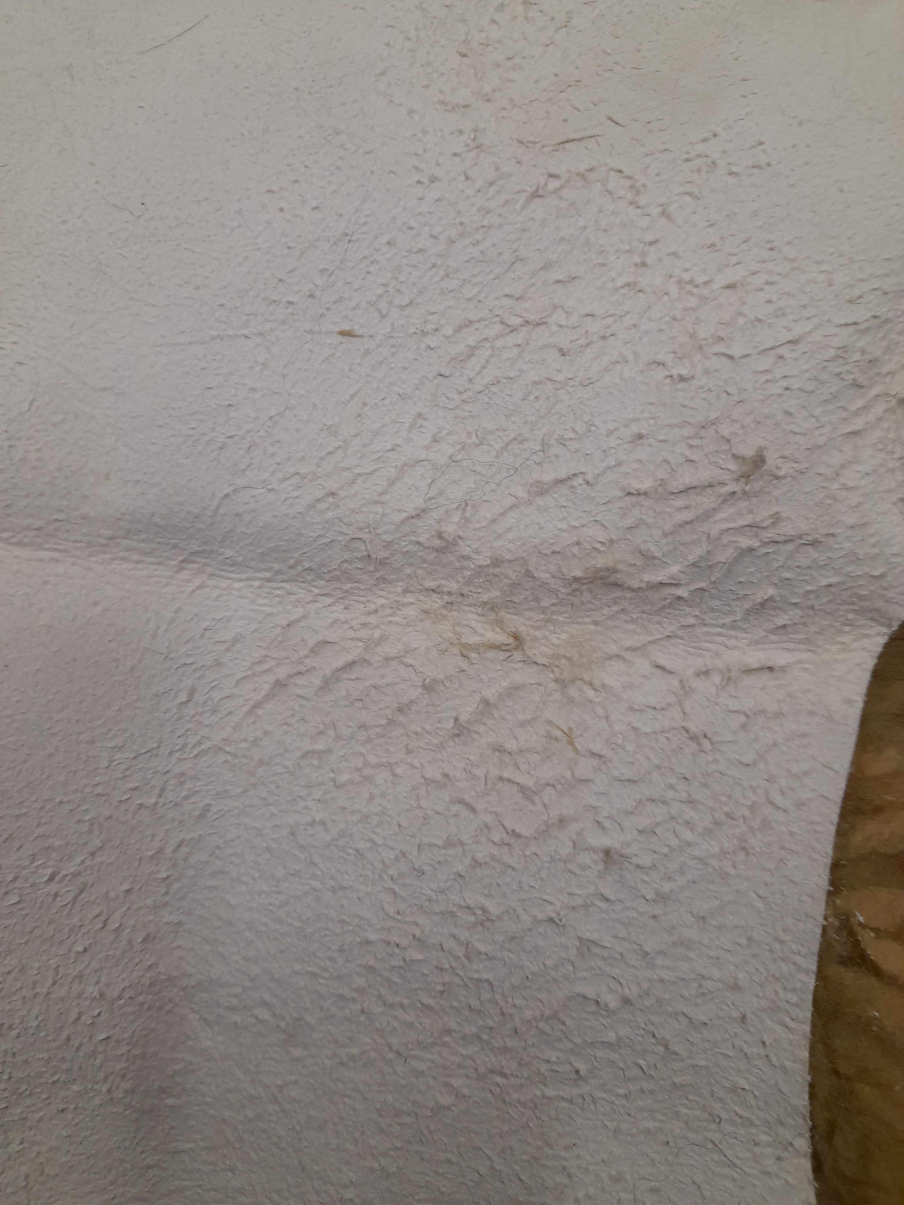 Outlet Premium New Zealand Single Sheepskin Long Wool Rug - 90cm x 55cm Bronze