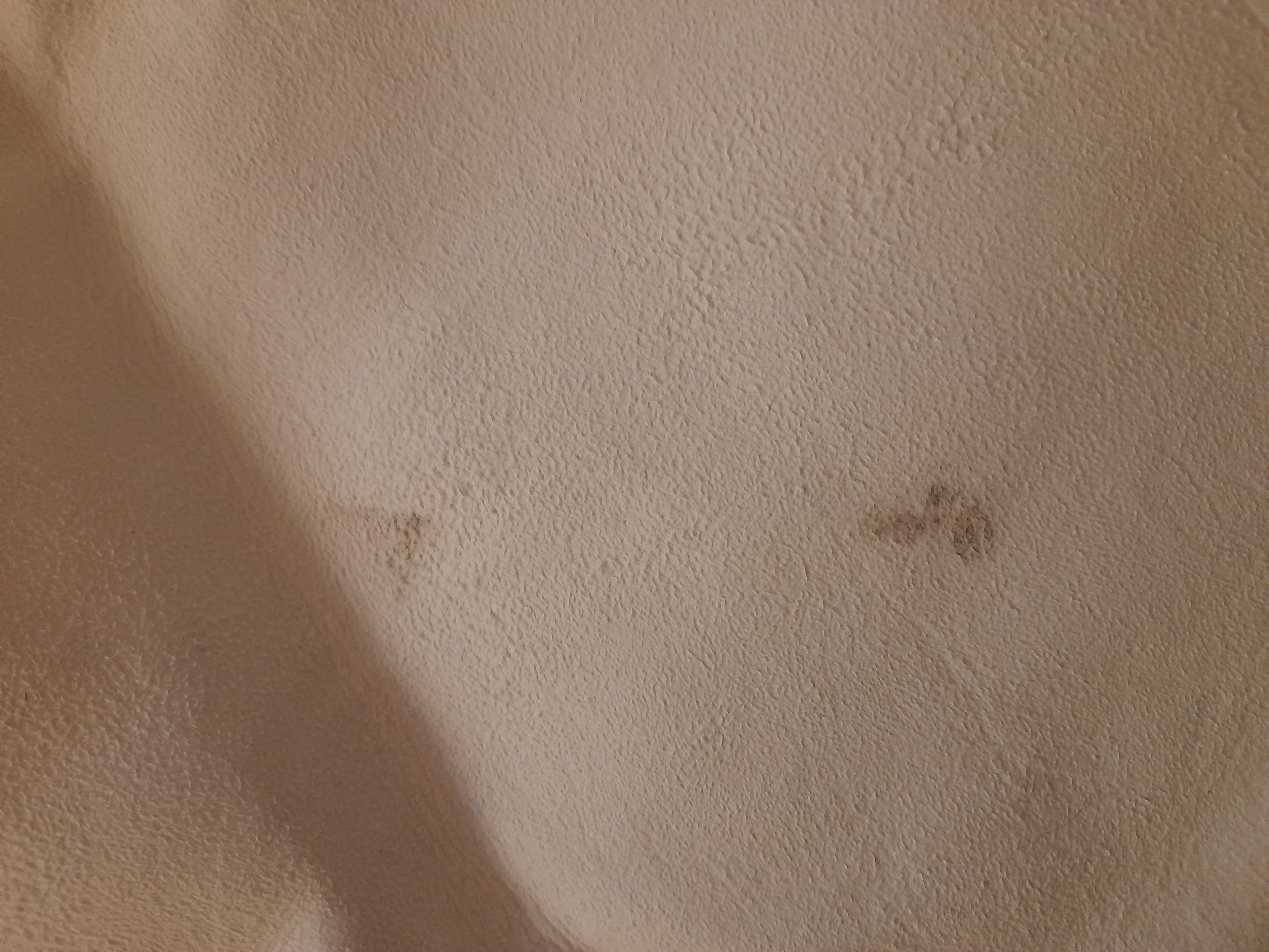 Outlet Premium New Zealand Single Sheepskin Long Wool Rug - 90cm x 55cm Bronze