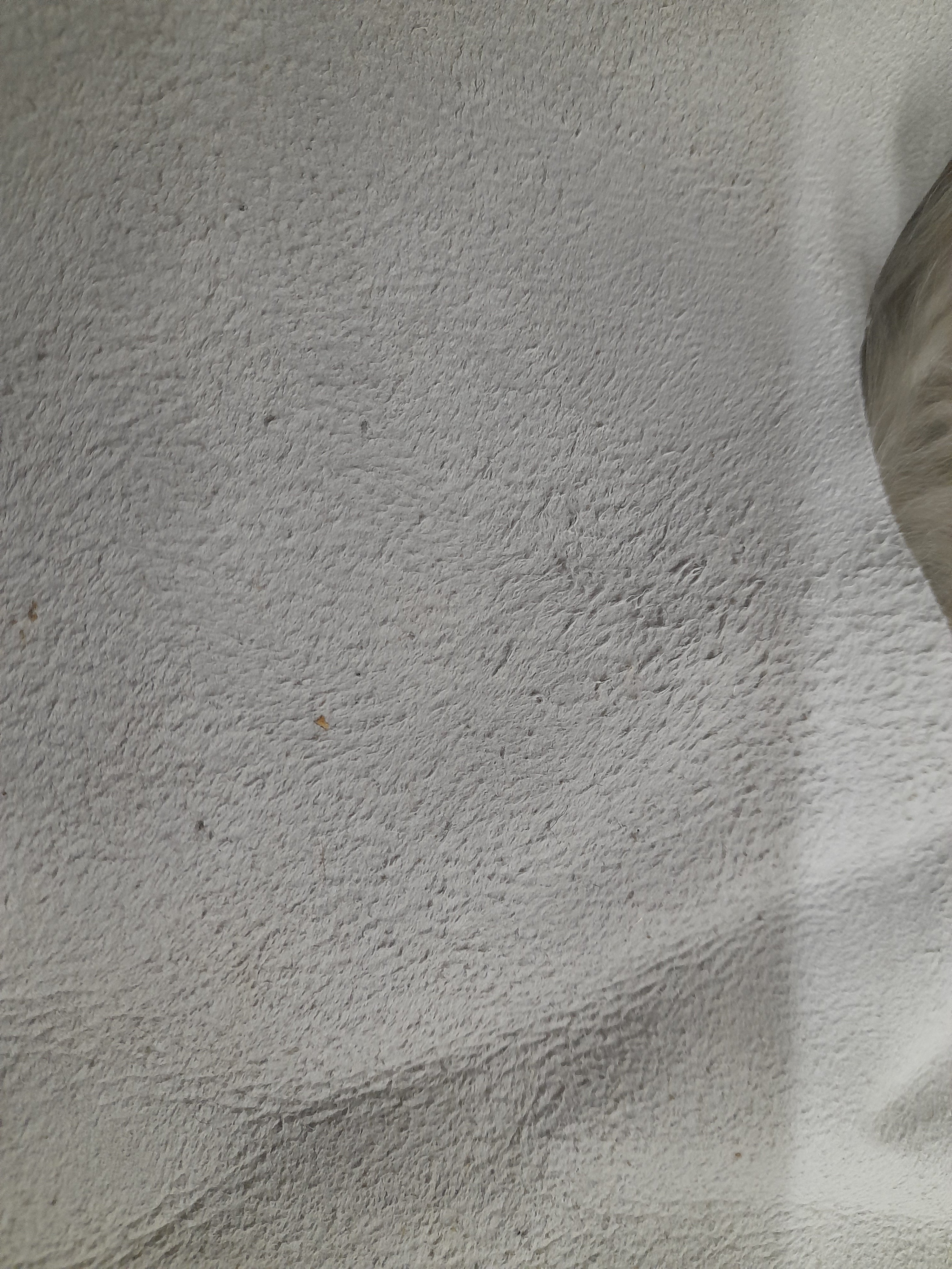 Outlet 100% Natural Sheepskin Mongolian Single Rug - 90cm x 55cm Grey