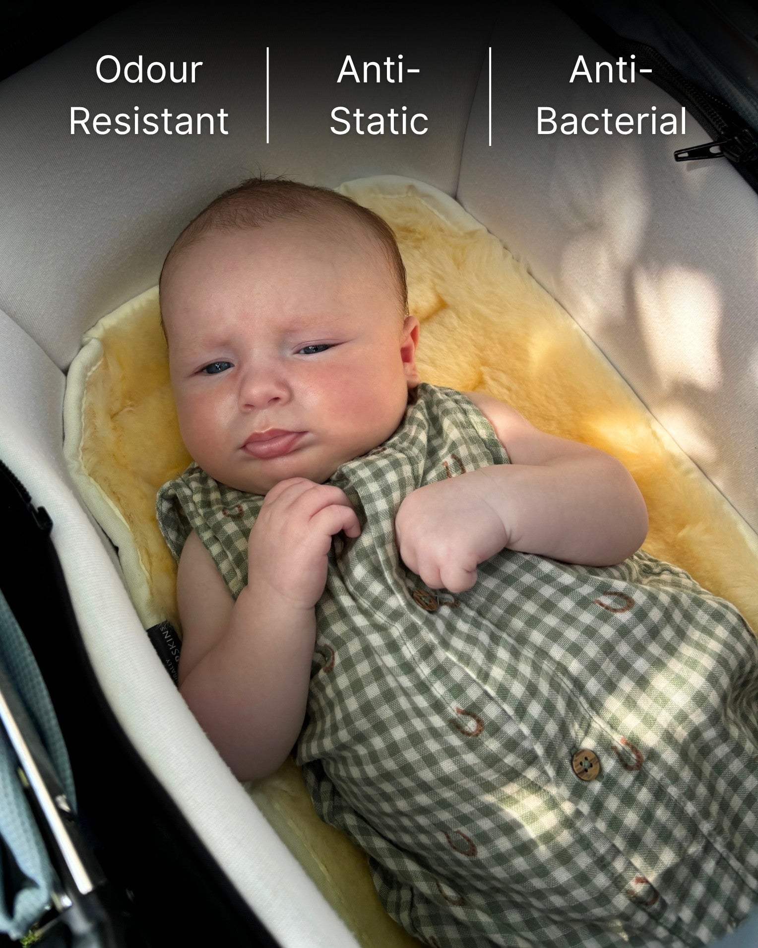 Newborn Baby in a stroller with sheepskin liner