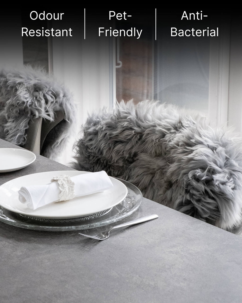 Silver Grey Single Sheepskin rug dining table