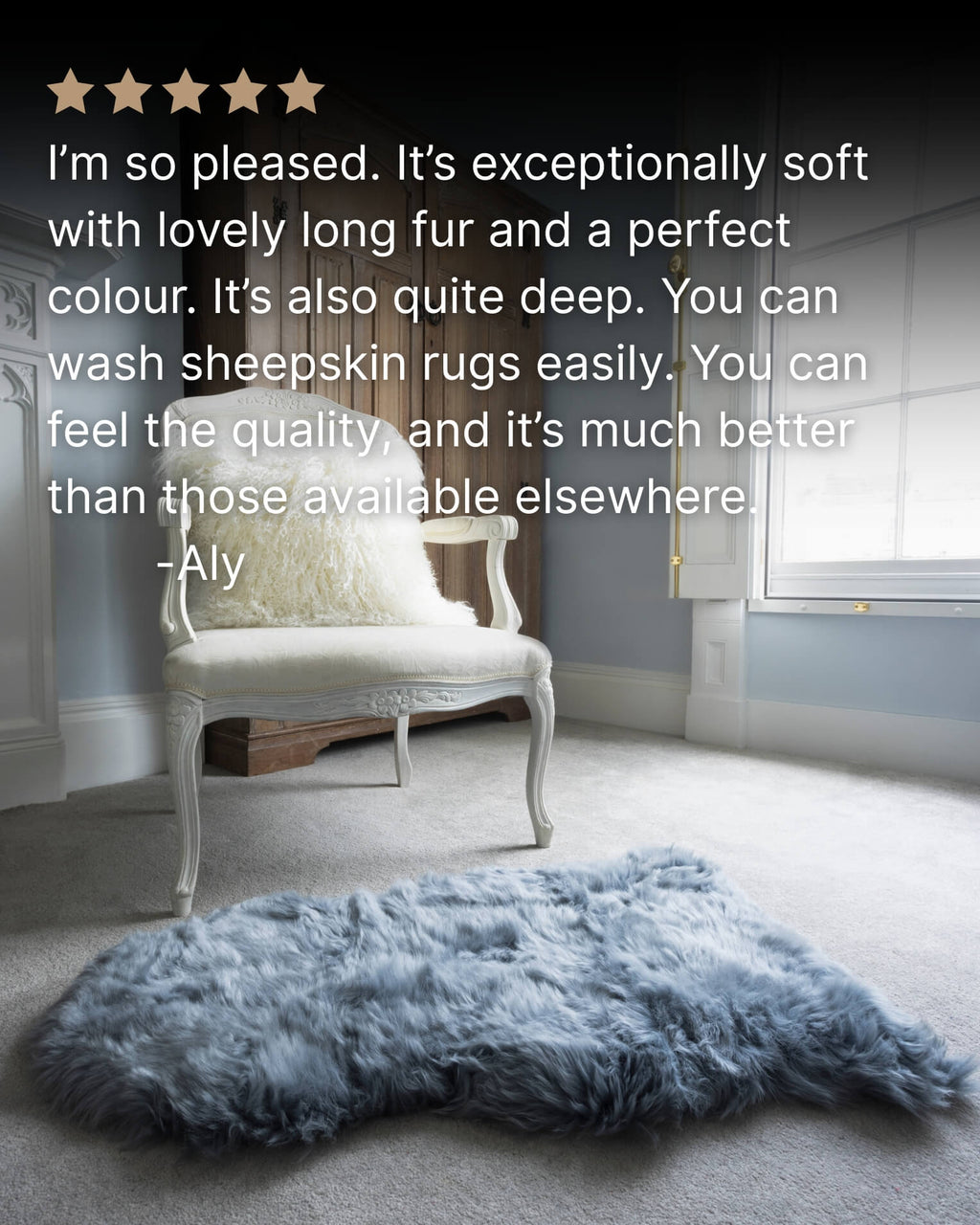 Steel Grey Single Sheepskin rug room in front of charir